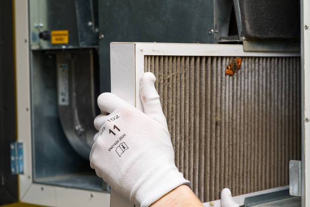 Best Local Air Duct Cleaning Services  in Seven Corners, VA